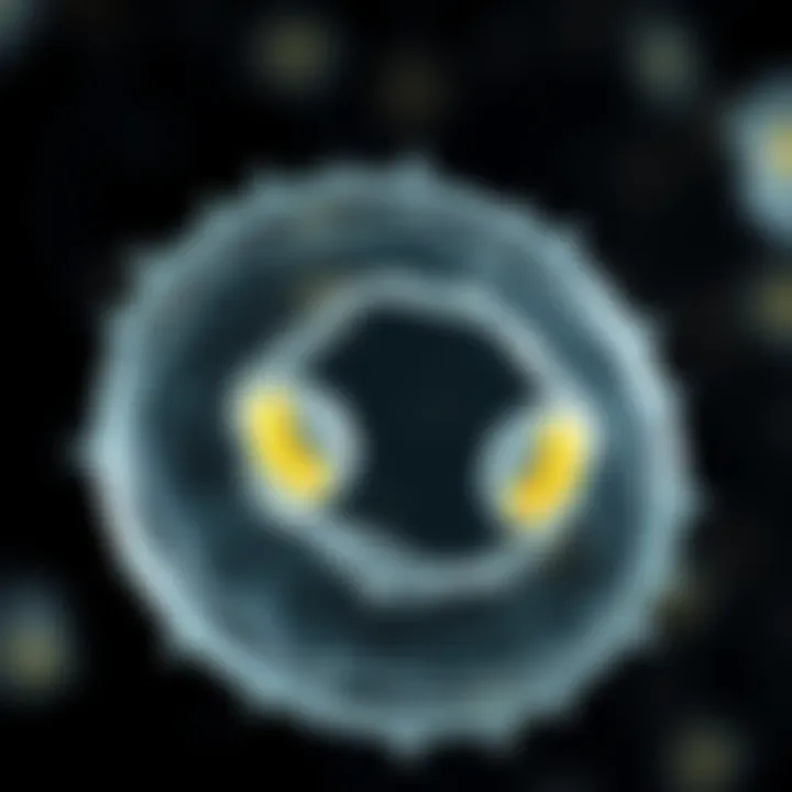 Binary Fission and Reproduction in Single-Celled Organisms Graphic showing binary fission occurring in a single-celled organism with two identical daughter cells emerging