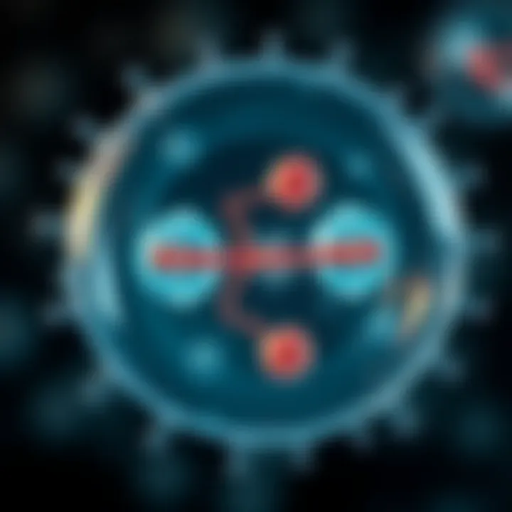Diagram illustrating the stages of binary fission in a bacterial cell showing chromosome replication and cell splitting